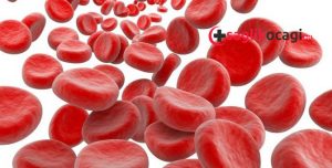 demir-eksikligi-anemisi-nedir-belirtileri-ve-tedavi-sureci